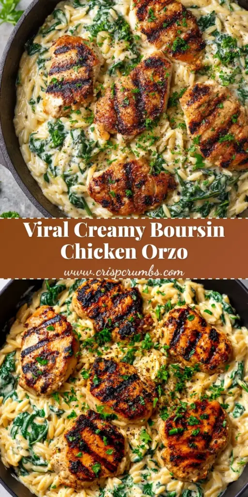 A vertical shot of creamy Boursin Chicken Orzo in a cast iron skillet with charred chicken slices and spinach. (Boursin Chicken Orzo)